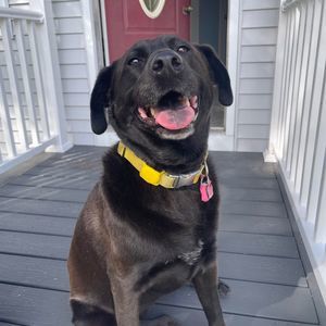 Meet your Posher, Gennie